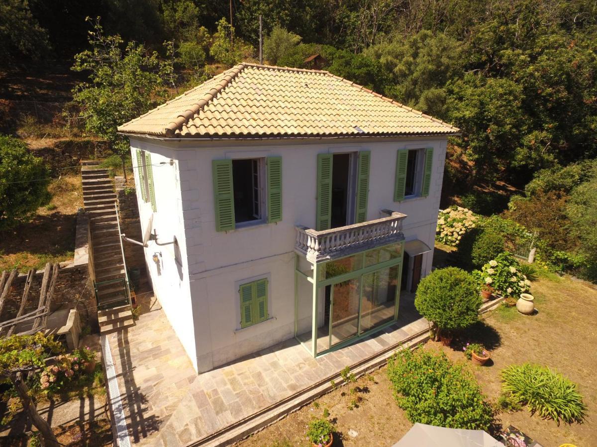 Aroma Green Villa 卡尼亚诺 外观 照片