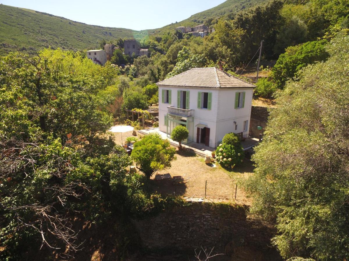 Aroma Green Villa 卡尼亚诺 外观 照片