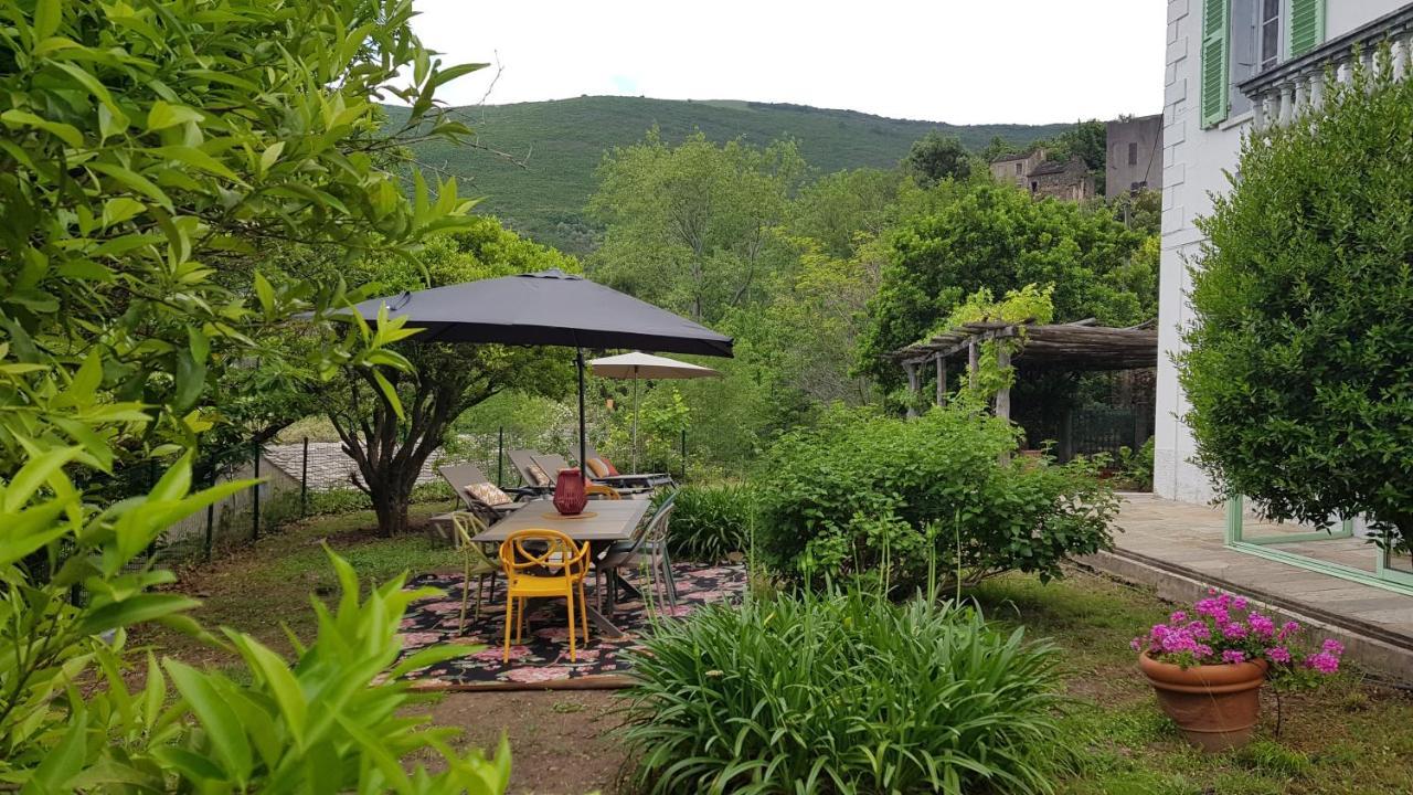 Aroma Green Villa 卡尼亚诺 外观 照片